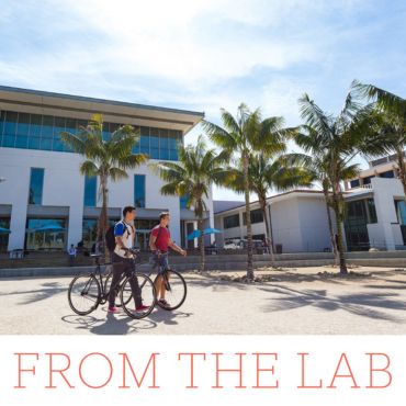 two students walking their bikes across campus
