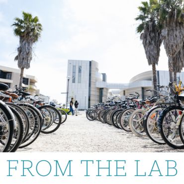 bicycles rack on campus