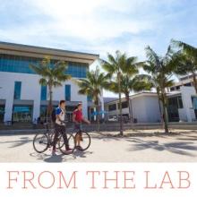 two students walking their bikes across campus