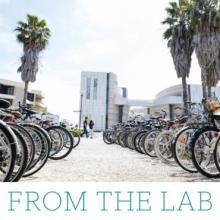 bicycles rack on campus