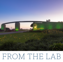 From The Lab Vol. 3