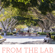 UCSB Outdoor Student Commons